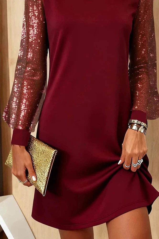 Long Sleeve O-Neck High Waist A-Line Mini Dress